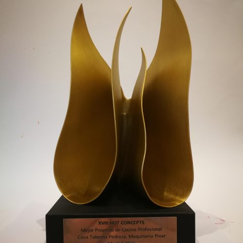Premio Mejor Proyecto de Cocina-Profesional HOT CONCEPTS 2021 - Mariano Pinar